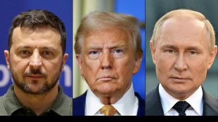 Ukraine : Zelensky et les Européens parleront à Trump, "contrarié" par le refus de Kiev de céder des territoires