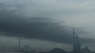 'Dubai is safe': UAE pushes to contain fallout from Iran onslaught