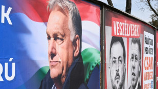 Trump vows to boost Hungary economy if Orban wins vote