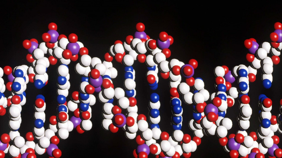 Franklin vide la doppia elica del Dna prima di Watson, la prova negli appunti