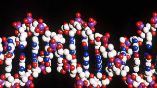 Uno studio di 5 anni e 5,3 milioni su 3 malattie neuromuscolari