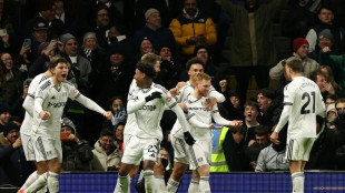 Ekitike's absence in Fulham draw leaves Slot with threadbare options