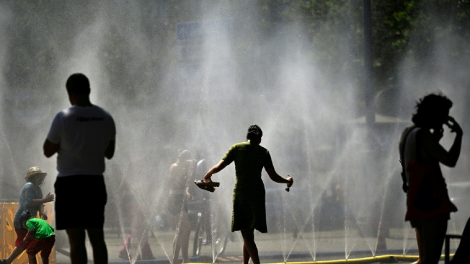 Schneider will Klimaanpassung als Gemeinschaftsaufgabe im Grundgesetz verankern