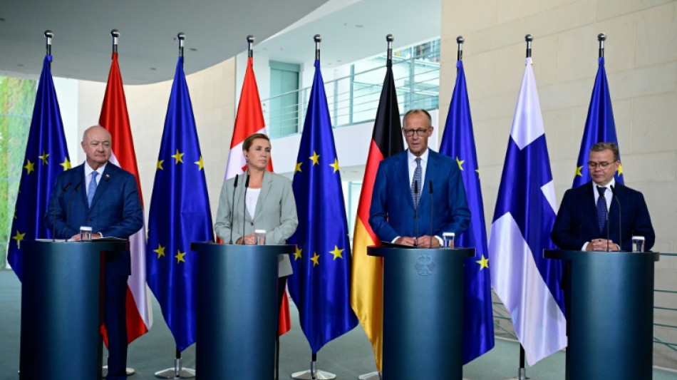 Germany-led 'frugal' EU states demand budget plan cuts of 'several hundred billion'