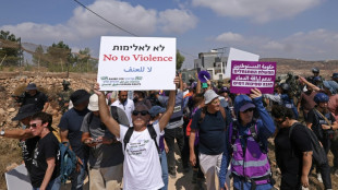 Cisjordanie: des militants isra&eacute;liens tentent de ravitailler des Palestiniens assi&eacute;g&eacute;s