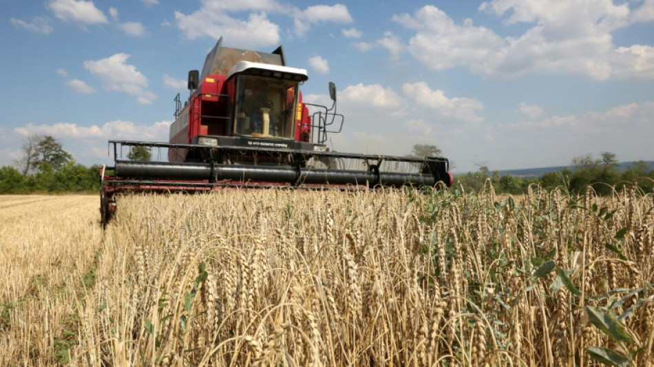 Poland, Hungary, Slovakia defy end of EU Ukraine grain import ban