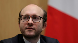 Affaire Dati-Compl&eacute;ment d'enqu&ecirc;te: le d&eacute;put&eacute; Patrier-Leitus conclut &agrave; la "bonne foi" des deux