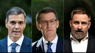 Espagne : la campagne &eacute;lectorale s'ouvre dans l'ombre de Maricarmen