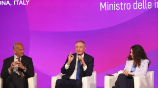 Urso, 'prevediamo incentivi per i veicoli, anche i commerciali'