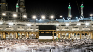 Les p&egrave;lerins prient sur le mont Arafat, point culminant du hajj