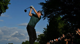 Fitzpatrick takes early lead at Italian Open