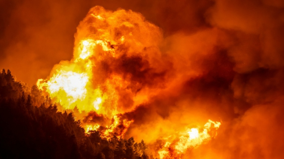 Body found after wildfire hits Croatian coastal town