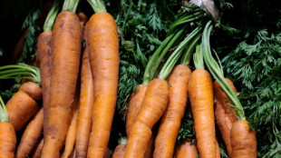 Mehr als ein Viertel der Obst- und Gem&uuml;seimporte kamen 2022 aus Spanien