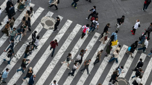 Most Asia stocks rally as 'Goldilocks' jobs data ease rate fears