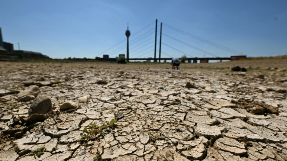 Record July heat in regions home to 900 mn people: AFP analysis