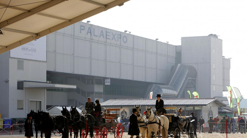 Da Fieracavalli l'impegno per il benessere animale: nasce Healthcare & Leisure