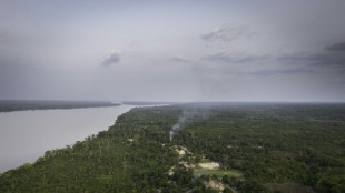 En RDC, des communaut&eacute;s s'unissent face &agrave; la ru&eacute;e sur leurs for&ecirc;ts