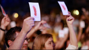 Piazza Grande a Locarno manifesta contro la violenza a Gaza