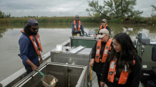 Face à la carpe asiatique, le Canada et les Etats-Unis résistent aux divisions politiques