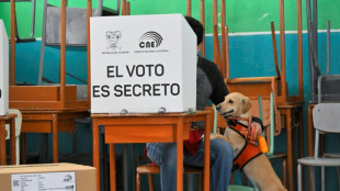 El referendo en Ecuador fue una "maniobra" de precampa&ntilde;a electoral, dice el expresidente Correa