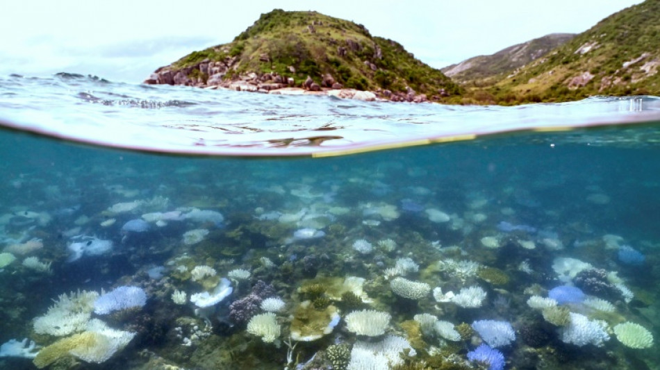 Australia sweats through hottest 12 months on record: official data