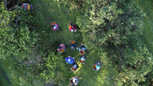 For Argentine farmers, Milei's free-market reforms fall short