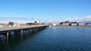 Malouines: nouvelle route maritime avec le Chili sur fond d'inqui&eacute;tudes en Argentine