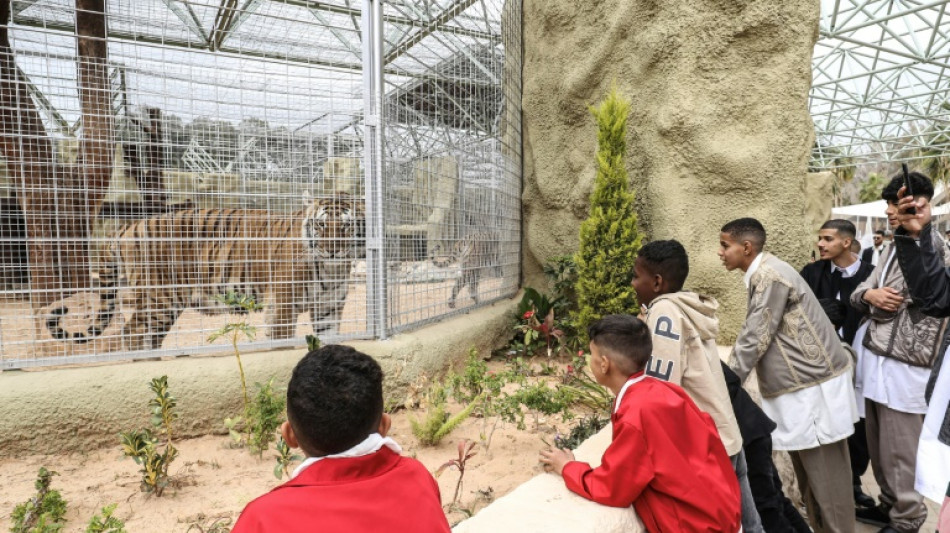 Un lieu de r&eacute;pit: 17 ans apr&egrave;s, le zoo de Tripoli, en Libye, a rouvert ses portes
