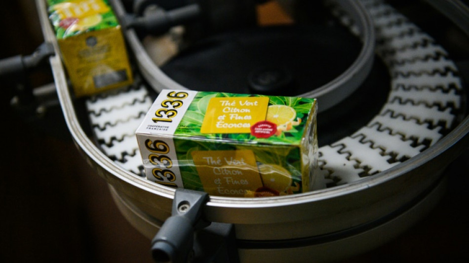 Sans patron, l'usine des ex-Elephant carbure toujours au th&eacute;