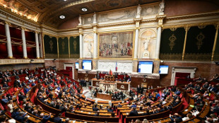 Assembl&eacute;e: apr&egrave;s la bataille du perchoir s'ouvre celle des postes-cl&eacute;s, la place du RN en question