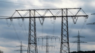Unionsfraktion fordert dauerhaft gesenkte Stromsteuer auf zul&auml;ssigem Minimum