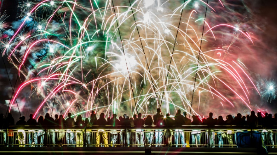 Bundesverband Pyrotechnik mahnt zu r&uuml;cksichtsvollem Umgang mit Feuerwerk