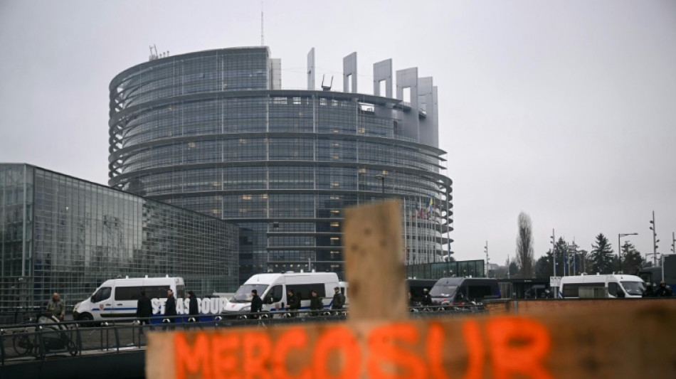 Premier vote sur le Mercosur au Parlement europ&eacute;en, travers&eacute; par des lignes de fractures nationales