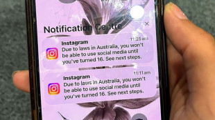 Meta urge a Australia a cambiar la prohibici&oacute;n de los menores en las redes sociales