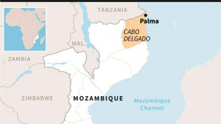 Giant Mozambique gas project resumes after 5-year security suspension