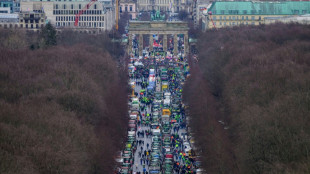 Auftakt zur Gr&uuml;nen Woche und agrarpolitische Podiumsdiskussion des DBV