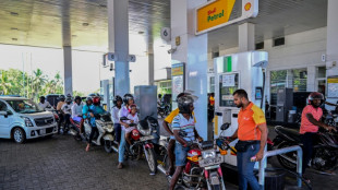 P&eacute;trole: des stocks strat&eacute;giques d&eacute;bloqu&eacute;s "imm&eacute;diatement" en Asie et en Oc&eacute;anie