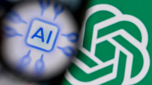 Ataque de agente de IA descontrolado atingiu outras plataformas, diz OpenAI