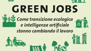 'Green Jobs', a transizione e IA servono 3,7 milioni di posti di lavoro al 2030