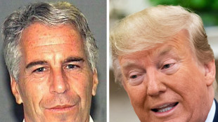 Trump: 'Votate diffusione carte Epstein, io nulla da nascondere'