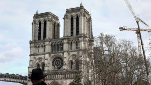 Cinco curiosidades hist&oacute;ricas sobre a Notre-Dame de Paris