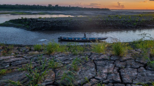 El conficto armado en Colombia amenaza con extinguir 44 especies de animales