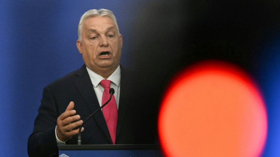 A Budapest, le "mouton noir" Orban jubile en ma&icirc;tre de c&eacute;r&eacute;monie