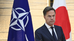 Rutte, 'appoggiamo Trump sulla pace, sforzi non facili'