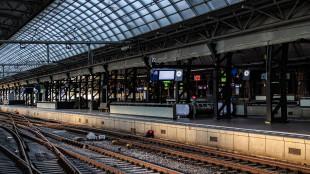 'Sabotaggio sulla rete ferroviaria olandese', indagano gli 007