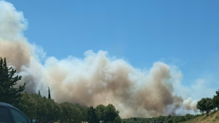 L'incendie dans le Gard fix&eacute;, l'A9 r&eacute;ouverte dans la soir&eacute;e