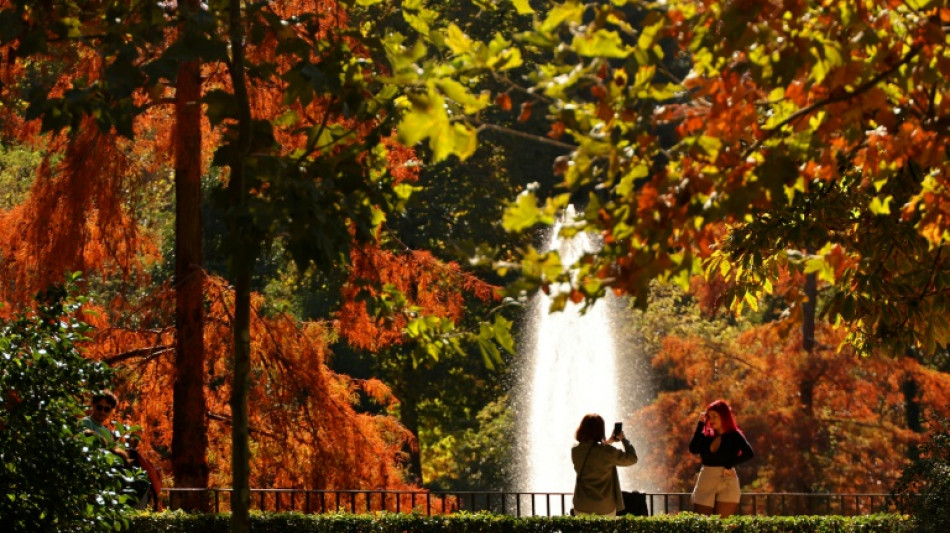 Fate of Madrid's trees takes root in vote campaign