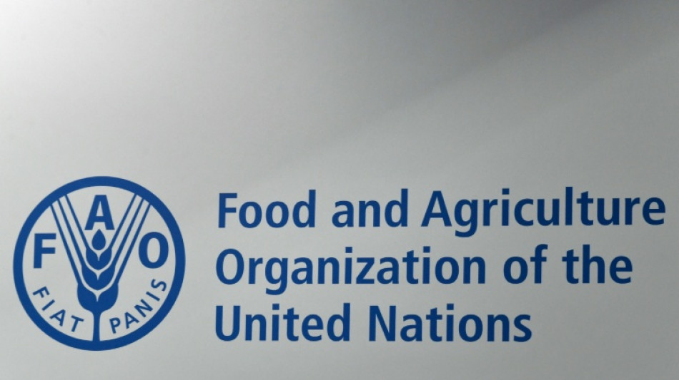 Un alto funcionario de la FAO afirma haber sido apartado por criticar a Israel sobre Gaza