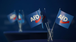 AfD pr&auml;sentiert Otte als Kandidaten f&uuml;r Bundespr&auml;sidentenamt