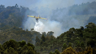 Espanha vislumbra fim dos incêndios, Portugal perde mais um bombeiro